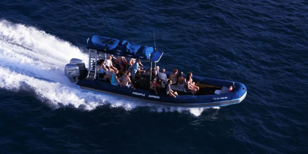 Express Raft