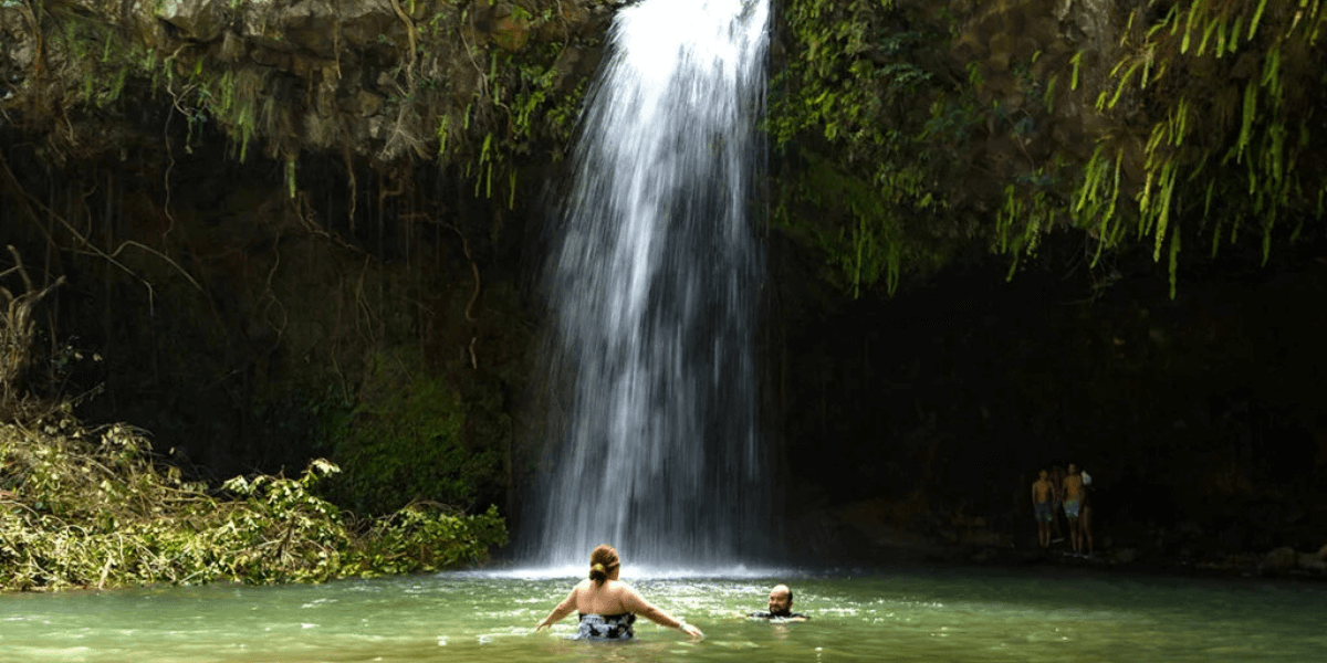 Rainforest Hike and Waterfalls